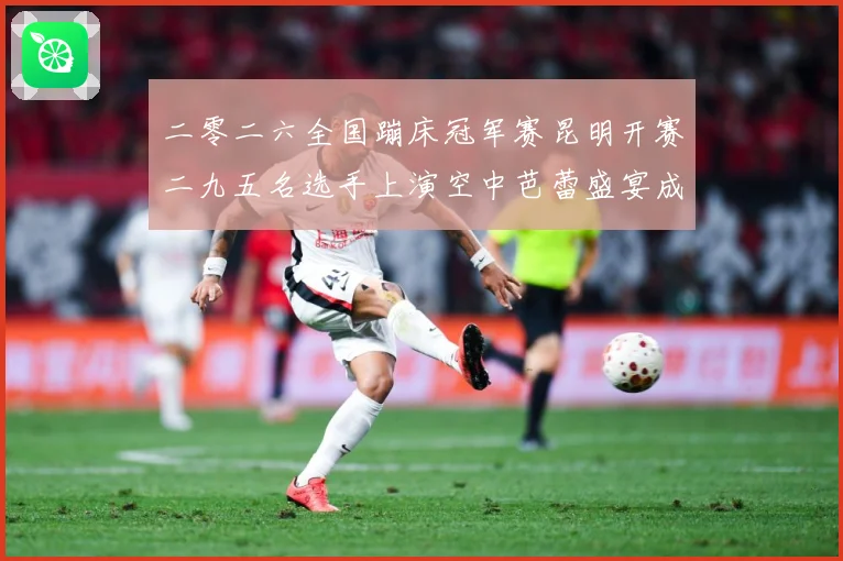 二零二六全国蹦床冠军赛昆明开赛二九五名选手上演空中芭蕾盛宴成长观察：最新赛事动态与深度分析